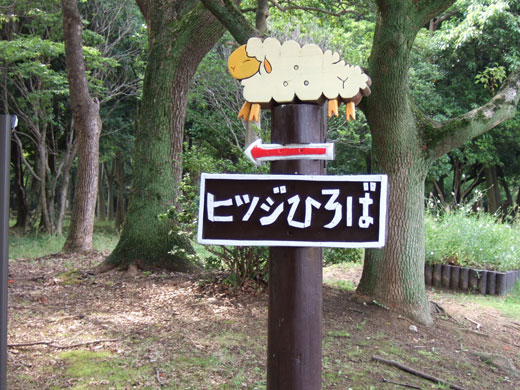 ひつじ広場