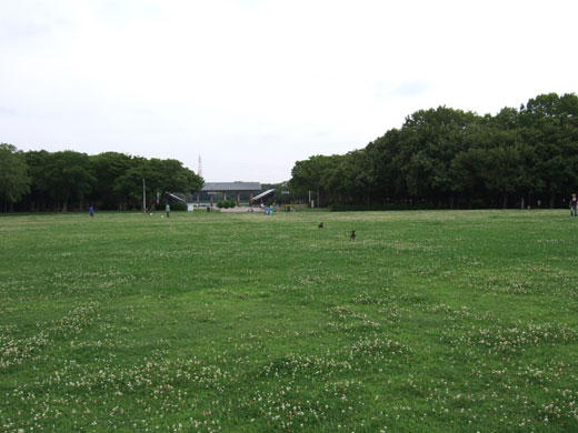 大芝生広場